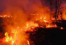 Gorj: Pompierii încearcă să stingă încă trei incendii de vegetație