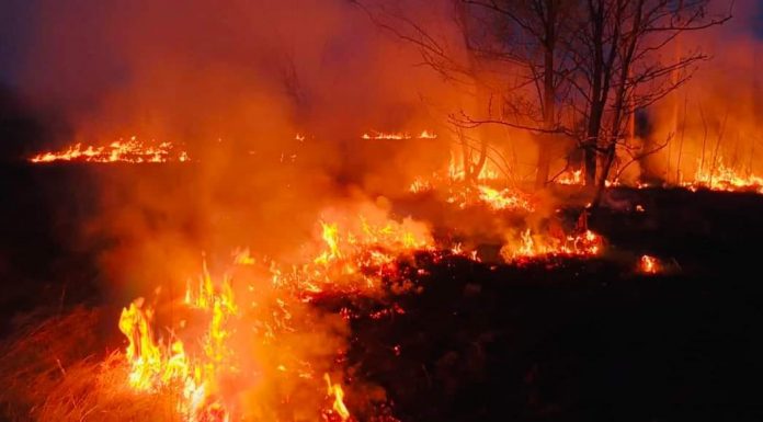 Gorj: Pompierii încearcă să stingă încă trei incendii de vegetație