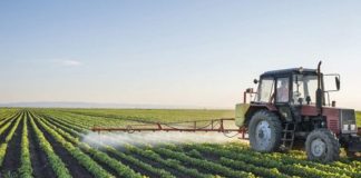 Agricultura pe înțelesul tuturor – Calendarul lucrărilor agricole în luna aprilie