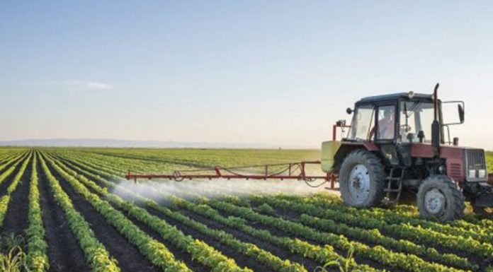 Agricultura pe înțelesul tuturor – Calendarul lucrărilor agricole în luna aprilie