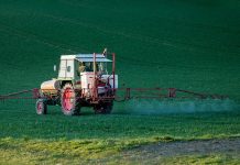 Agricultura pe înțelesul tuturor – Ierbicidarea cerealelor păioase în primăvară ploioasă