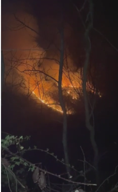 VIDEO, Novaci: 30 de hectare de vegetație uscată și pădure au ars azi-noapte