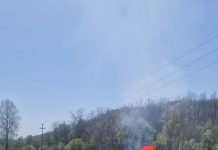 Amendă de 10.000 de lei pentru un localnic din Licurici. A dat foc vegetației