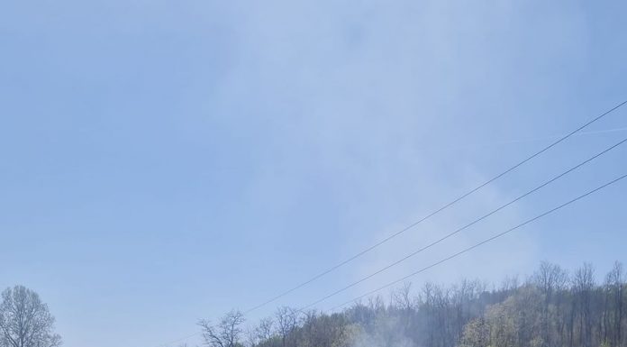 Amendă de 10.000 de lei pentru un localnic din Licurici. A dat foc vegetației