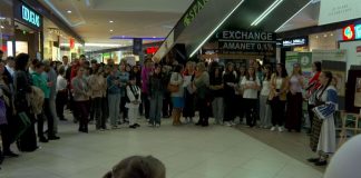 Sute de elevi la Târgul Ofertelor Educaționale