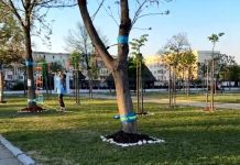 Parc cu tiroliene și hamace, la Rovinari