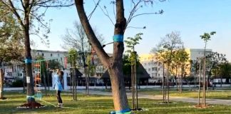 Parc cu tiroliene și hamace, la Rovinari