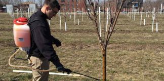 Agricultura pe înțelesul tuturor – Protecția fitosanitară a pomilor fructiferi