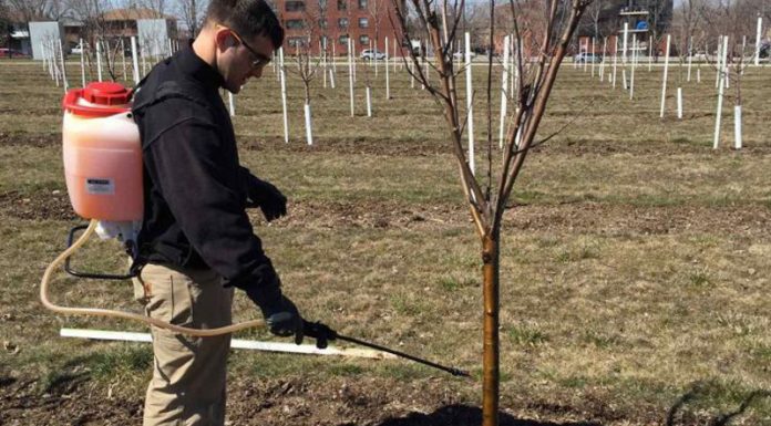 Agricultura pe înțelesul tuturor – Protecția fitosanitară a pomilor fructiferi