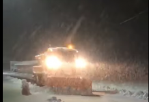 Cod galben de ninsori și în Gorj