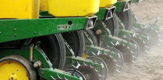 Agricultura pe înțelesul tuturor – Semănați corect porumbul