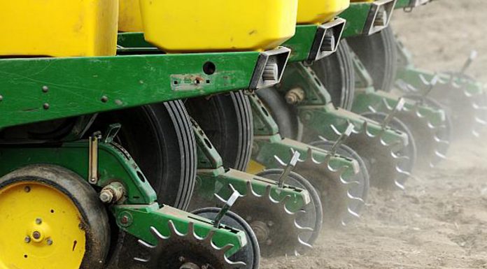 Agricultura pe înțelesul tuturor – Semănați corect porumbul