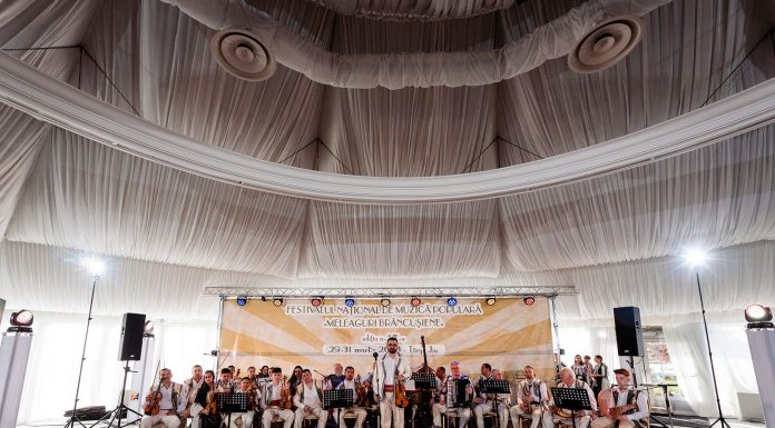 Trofeul Festivalului ”Meleaguri brâncușiene” de la Târgu Jiu a plecat la Alba