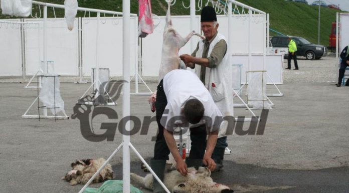 Câți miei se estimează că se vor sacrifica în Gorj înainte de Paște