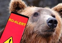 Ursul care a atacat azi-noapte, s-a reîntors în sat