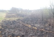 Licurici: Amendă de 10.000 de lei pentru că a dat foc vegetației