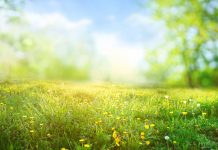 Vreme mai caldă de Paști. Astăzi și mâine, cod galben de ninsori și viscol la munte