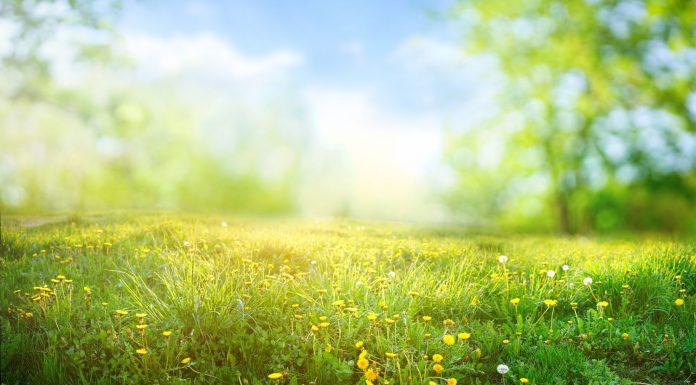 Vreme mai caldă de Paști. Astăzi și mâine, cod galben de ninsori și viscol la munte