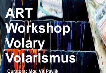 Artiști vizuali cehi, participanți la o expoziție de artă contemporană la Târgu Jiu