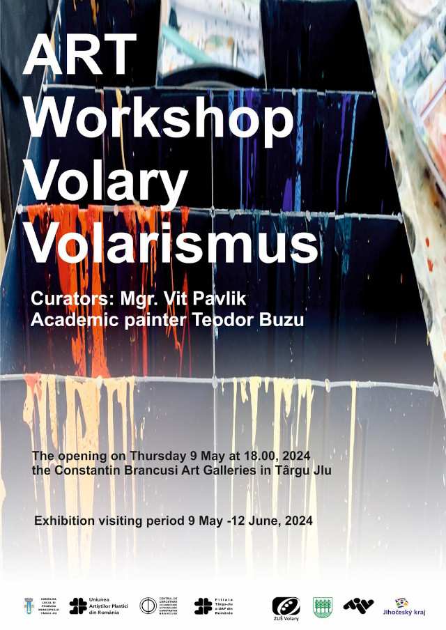 102-Workshop-Targu-Jiu