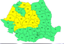 Cod galben de furtuni