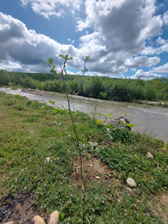 26a02857-093a-4d5f-85c2-304beaf52eca