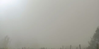 Bankwatch, cu ochii pe termocentralele CEO: Poluare la Turceni