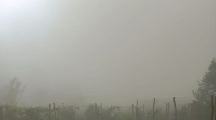 Bankwatch, cu ochii pe termocentralele CEO: Poluare la Turceni