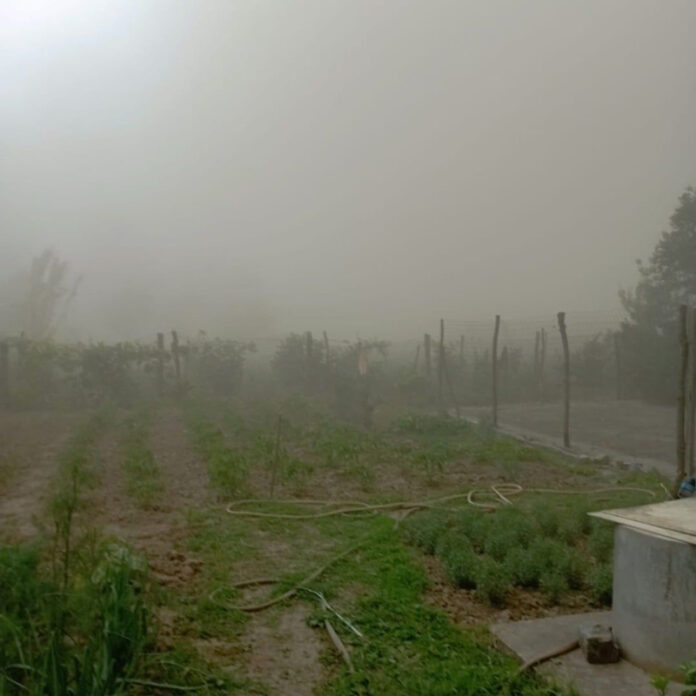 37bfa236-cc48-4ec6-b4b5-dbd61caf9263