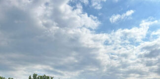 Vulturii au luat titlul! Andriucă: ,,Ne gândim la Cupă și la baraj”