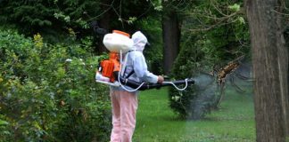 Acțiune de dezinsecție la Rovinari