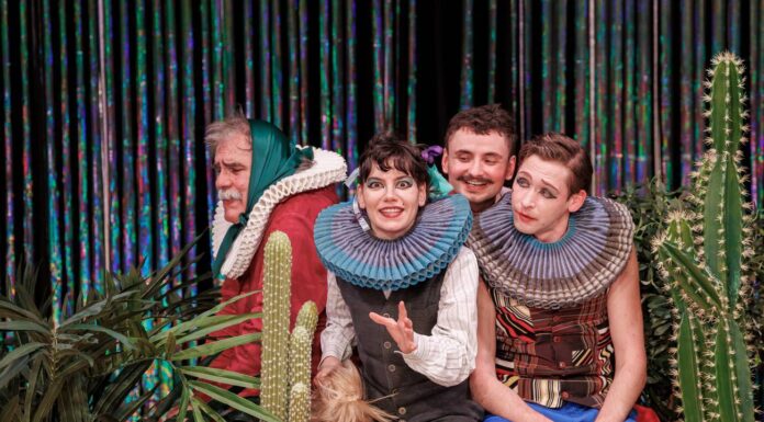 Invitație la teatru: „A douăsprezecea noapte”, Târgu Jiu, ora 19.00