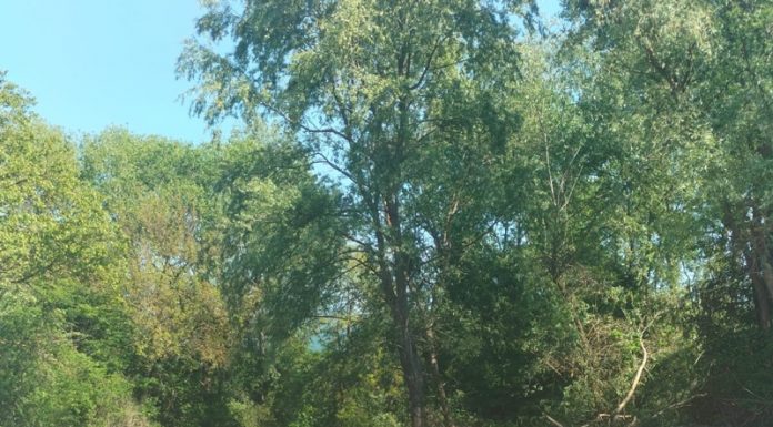 Lucrări de decolmatare pe Valea Susenilor