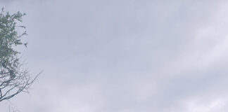 Prohibiție: Pescari amendați