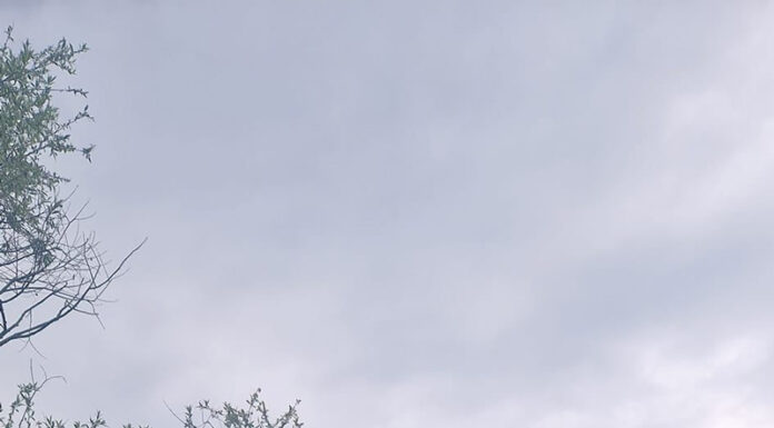 Prohibiție: Pescari amendați