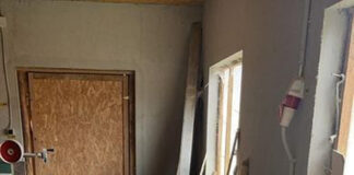 Tâmplar din Padeș, amendat cu 10.000 de lei