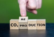Calea către o economie sustenabilă: serviciile de consultanță în reducerea amprentei de carbon