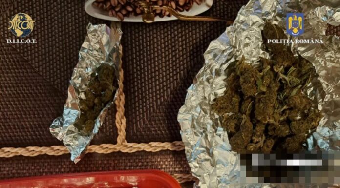 FOTO: Percheziții la un traficant de droguri. Le vindea către consumatorii din Gorj, care erau inclusiv minori