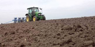Agricultura pe înțelesul tuturor – Calendarul lucrărilor agricole în luna mai