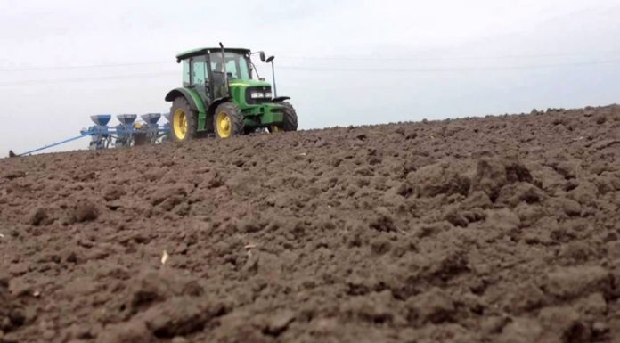 Agricultura pe înțelesul tuturor – Calendarul lucrărilor agricole în luna mai