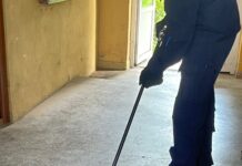 FOTO/VIDEO, Târgu Jiu| Șarpe descoperit în scara unui bloc