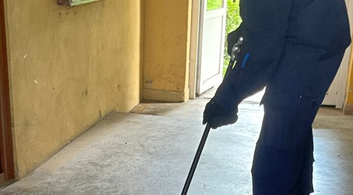 FOTO/VIDEO, Târgu Jiu| Șarpe descoperit în scara unui bloc