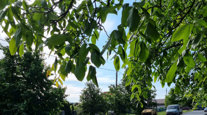 Lucrările de modernizare ale unei străzi din Bâlteni, aproape finalizate