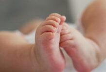 Sugar mort la spital. A fost adus de familie în stop cardio-respirator