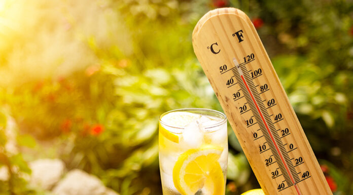 Vine canicula. Temperaturi de peste 30 de grade