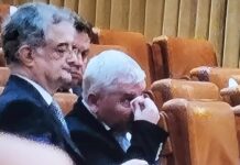 Altercație în Parlament între Dan Vîlceanu și Florin Roman