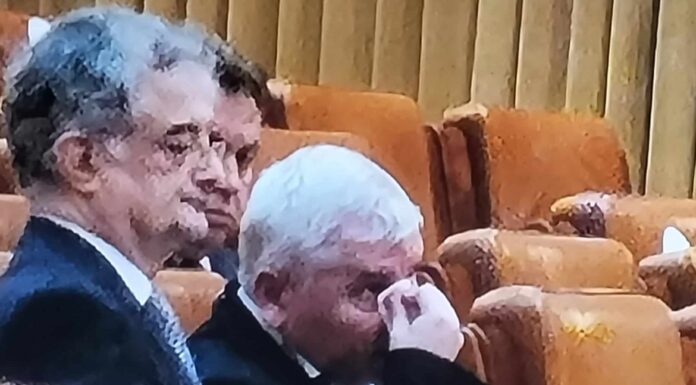 Altercație în Parlament între Dan Vîlceanu și Florin Roman