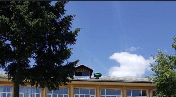 „Terra – Mica olimpiadă de geografie”, sâmbătă, la Târgu Jiu