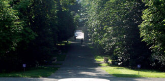 Oficial! Romanescu: Ansamblul sculptural al lui Constantin Brâncuși de la Târgu Jiu intră în Patrimoniul UNESCO!