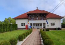 Consilier local pentru câteva luni